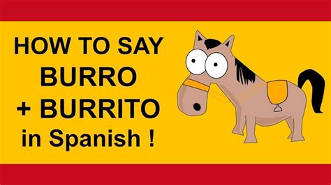 5 Ways To Say Como Un Burro In English