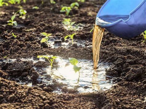 5 Ways To Use Liquid Fertilizer Applicators