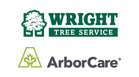 5 Ways Wright Tree Service Can Help Your Application