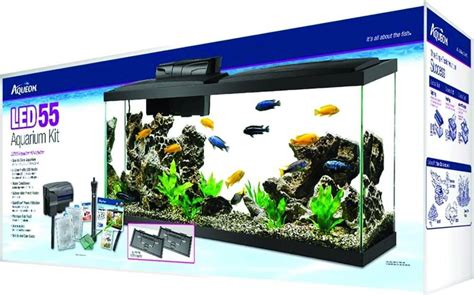 55 Gallon Aquarium Dimensions: A Complete Guide