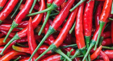 6 Facts About Cayenne Pepper Powder Density