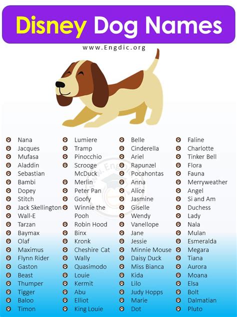 6 Magical Peter Pan Inspired Dog Names