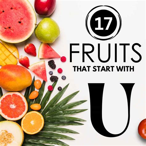 6 Unusual Fruits Starting With U