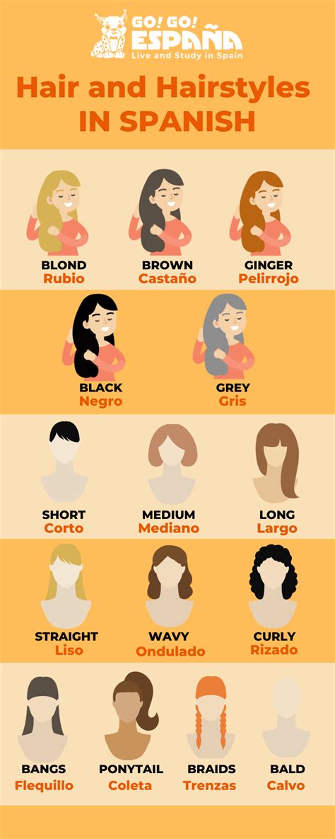 6 Ways To Describe Brown Hair In Spanish