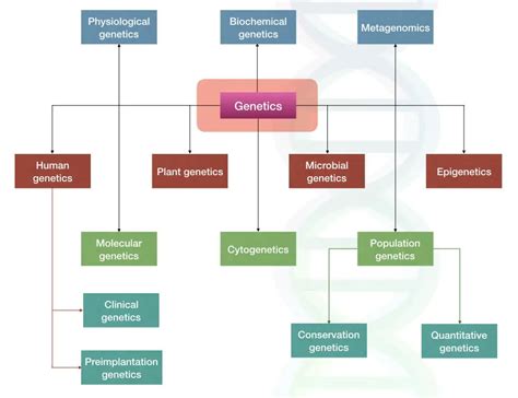 7 Branches Of Genetics Explained With Examples