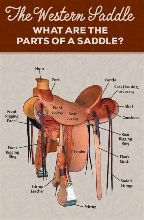 7 Essential Parts Of A Saddle Explained