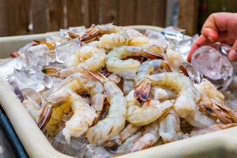 7 Foods Shrimps Love To Eat