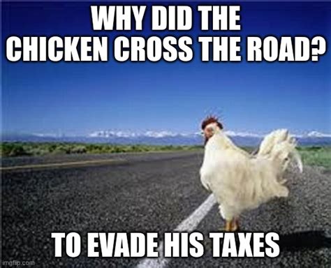 7 Funny Reasons Why Chicken Crossed Road