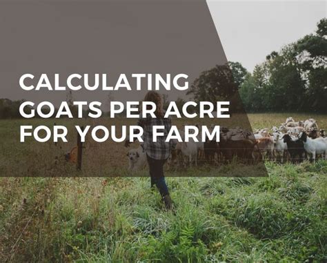 7 Goats Per Acre: The Ideal Grazing Density