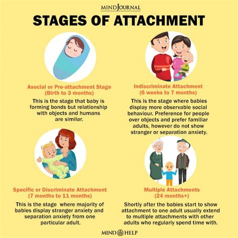 7 Key Principles Of Attachment Theory Research