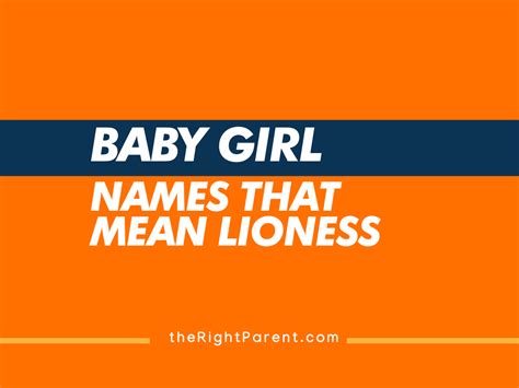 7 Names That Mean Lioness