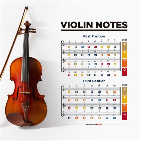 7 Notes On Violin Strings You Should Know