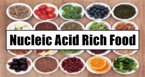 7 Nucleic Acids Examples Found In Food