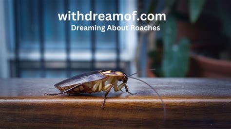 7 Roach Dream Meanings Uncovered