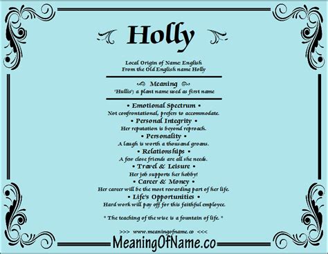 7 Secrets Of Holly The Name Meaning