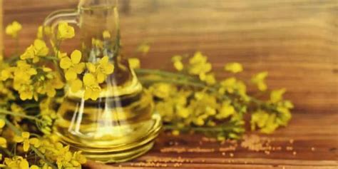 7 Signs Canola Oil Has Gone Bad