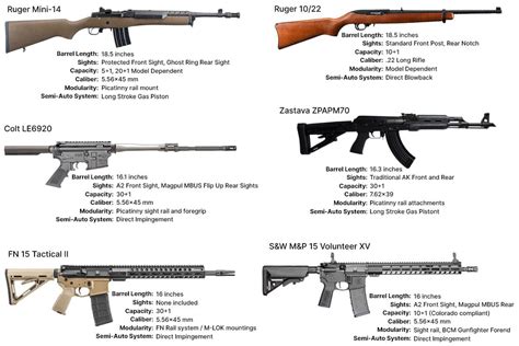 7 Steps To Obtain A Semi-Automatic Rifle License