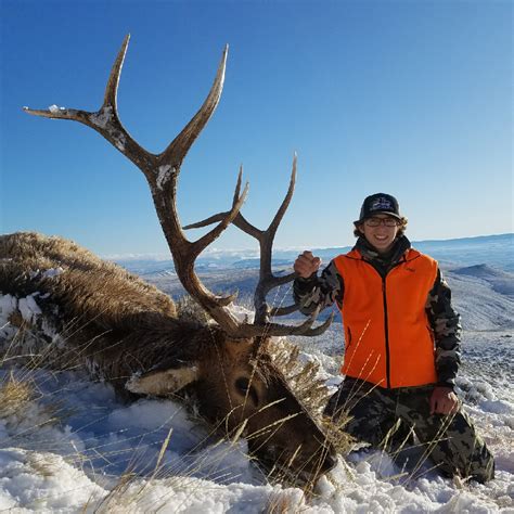 7 Tips For Wyoming Elk Application Deadline