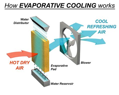 7 Ways Polarity Leads To Evaporative Cooling