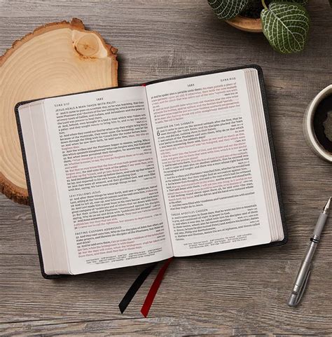 7 Ways To Apply Bible Truths With Nasb Study Bible