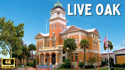 7 Ways To Explore Pilgrims Live Oak, Fl