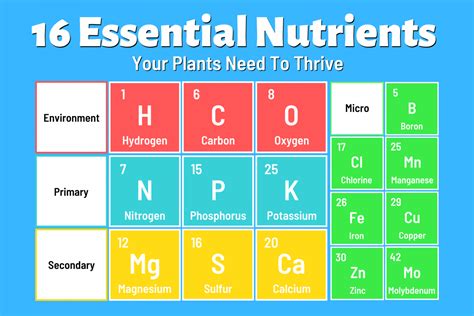 8 Essential Nutrients From Clinical Applications