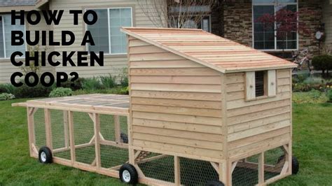 8 Essential Tips For A Happy Chicken Coop