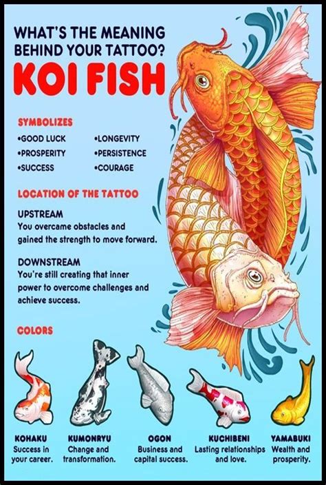 8 Ways Dragon Koi Fish Tattoos Symbolize Strength And Beauty