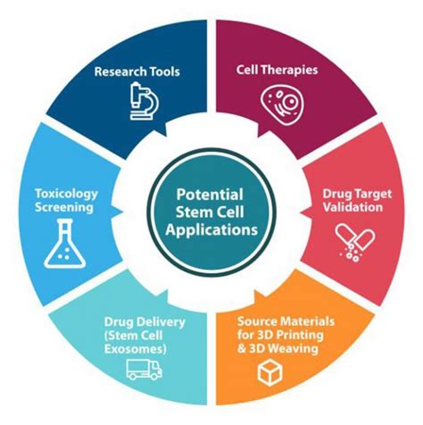 Acell Treatment Applications And Uses Explained