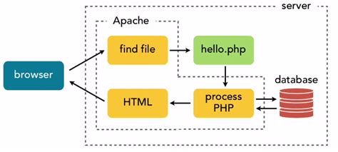 Apache And Nginx In Client-Server Applications