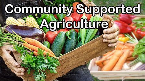 Apply For Community Supported Agriculture Program