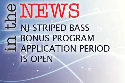 Apply For Nj Striped Bass Bonus Program In 5 Steps