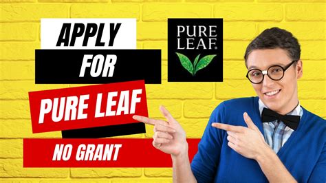 Apply For Pure Leaf Grants: Empowering Community Growth