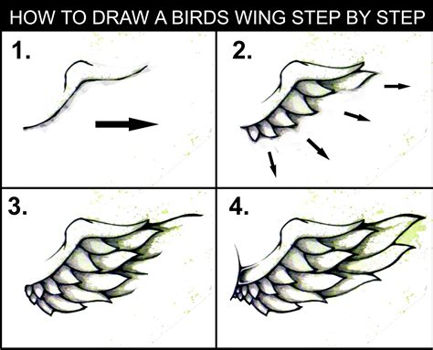 Applying For Wings: A Step-By-Step Guide