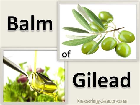 Balm In Gilead Bible Meaning And Spiritual Significance