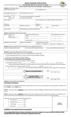 Belize Passport Application For Adults Made Easy