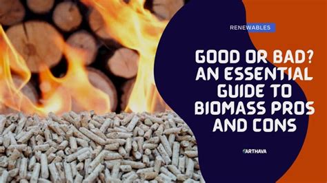 Biomass Pros And Cons: 7 Key Points