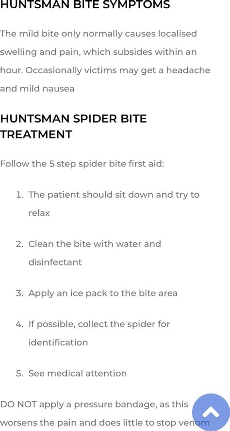 Bitten By Huntsman Spider: Symptoms And Treatment Guide