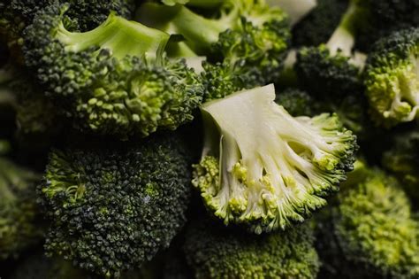 Can Chickens Safely Eat Broccoli: The Essential Guide