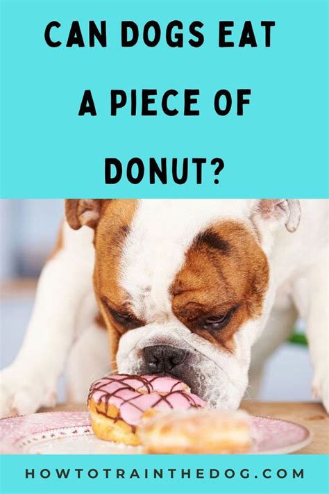 Can Dogs Eat Donuts Safely And What To Consider