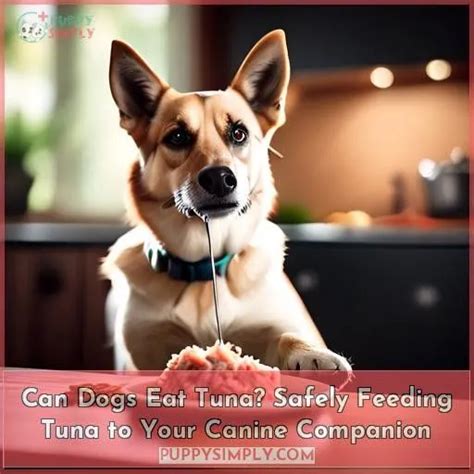 Can Dogs Eat Tuna Safely And In Moderation