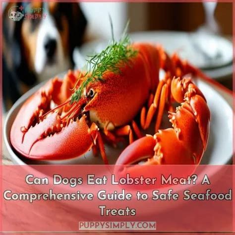 Can Dogs Safely Eat Lobster As A Treat