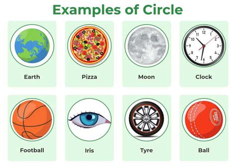 Circles In Real Life: 7.03 Applications And Examples