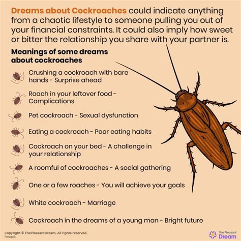 Cockroach In A Dream: Spiritual And Psychological Meanings Uncovered