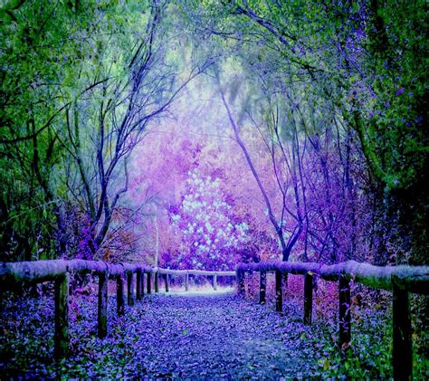 Colors Of Nature: Blue Green Purple Harmony