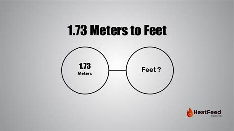 Convert 1.73 Meters To Feet Instantly