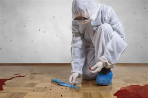 Crime Scene Cleaner Job Application And Requirements