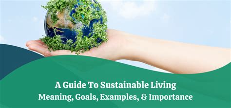 Crisp And Green Application Guide For Sustainable Living