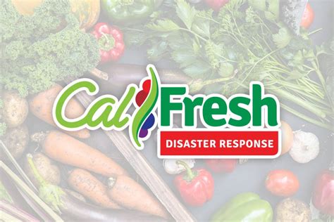 Disaster Relief Through Calfresh Application: A Guide