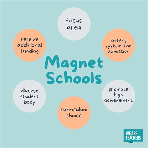 Disd Magnet Application: A Guide To Top Programs